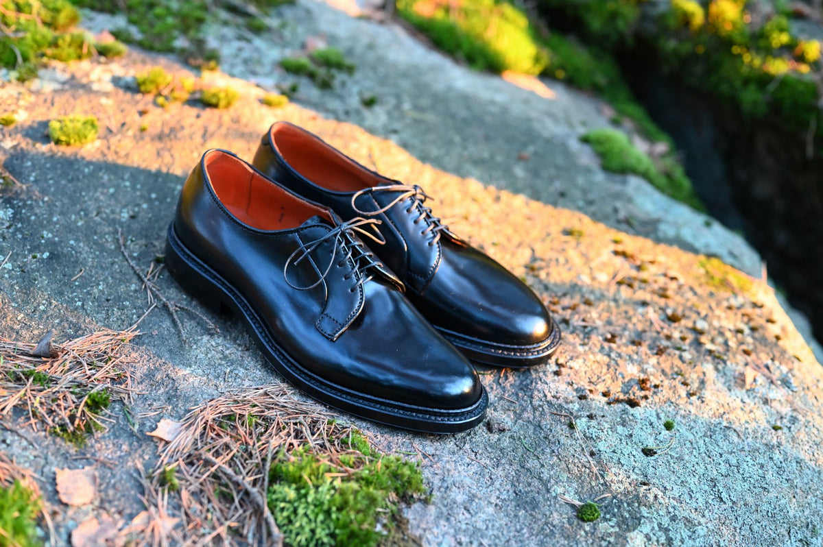 Alden of New England – Shoes of Stefan